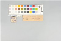 五色鳥藏品圖，第21張